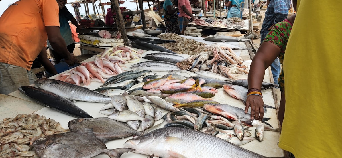 Vielfältige Auslage frischer Fische auf dem Markt, Hände greifen prüfend nach dem Fang